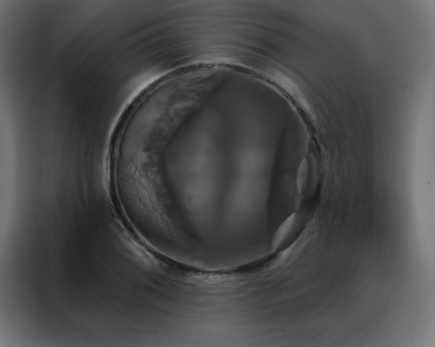 X0000088471076200705221358