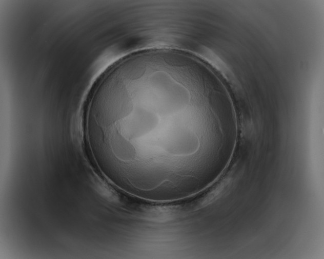 X0000088471078200705221358