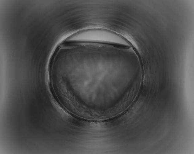 X0000088471080200705221358