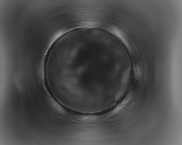 X0000088471083200705221358