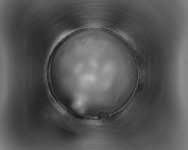 X0000088471086200705221358
