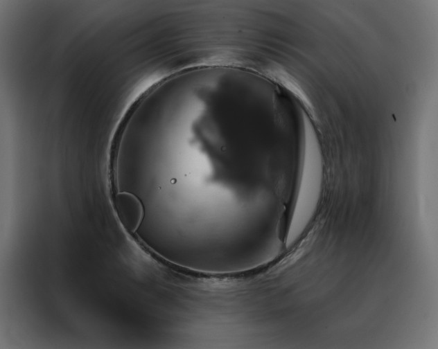 X0000088471087200705221358
