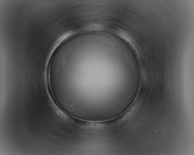 X0000088471090200705221358