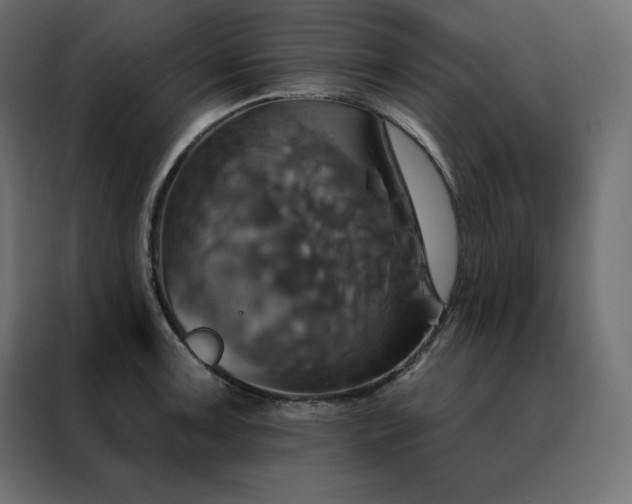 X0000088471091200705221358