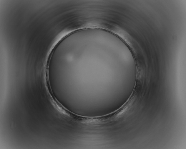 X0000088471094200705221358