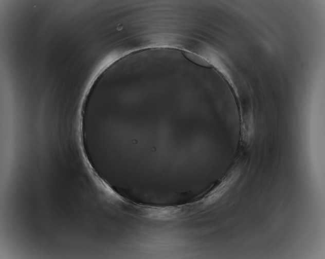 X0000088471096200705221358