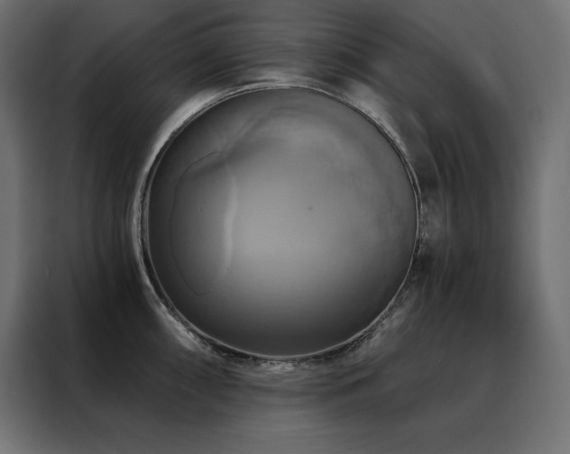 X0000088471098200705221358