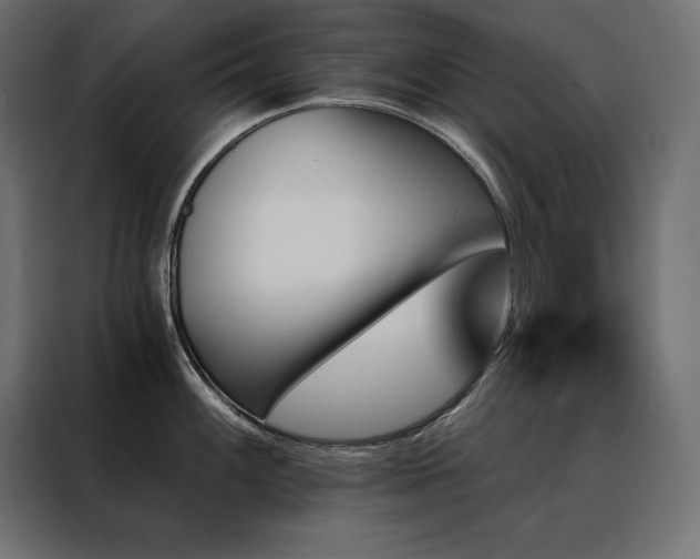 X0000088471100200705221358