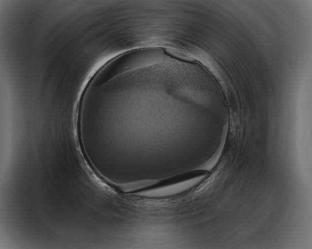 X0000088471102200705221358