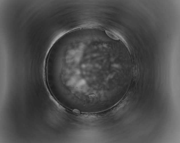 X0000088471103200705221358