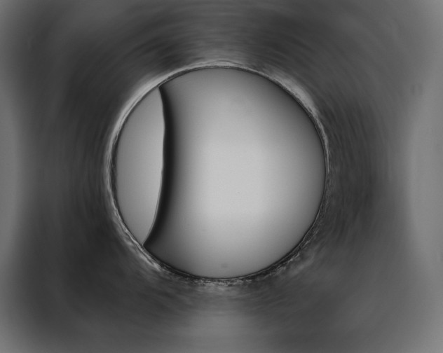 X0000088471104200705221358