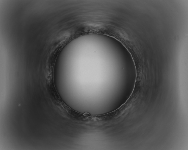 X0000088471109200705221357