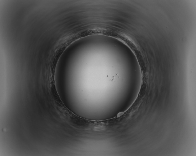 X0000088471111200705221357