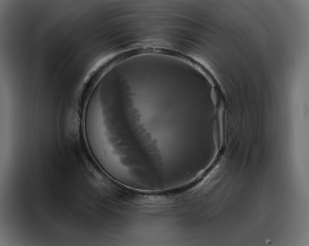 X0000088471115200705221357
