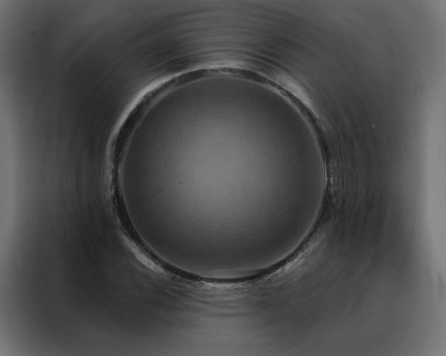 X0000088471116200705221357