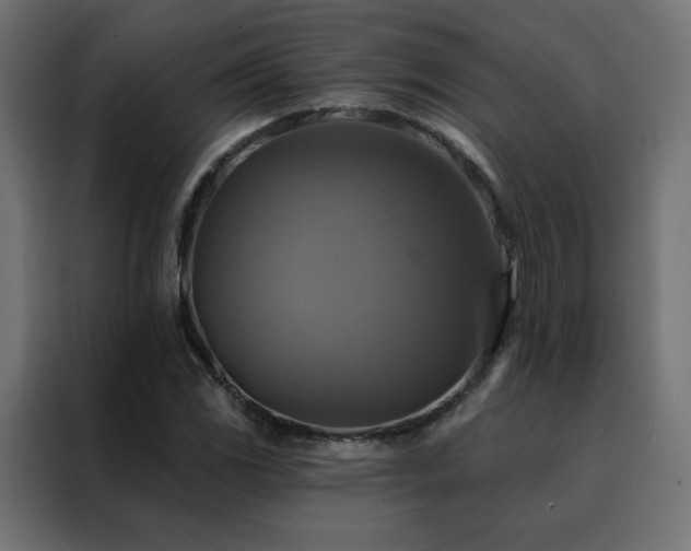 X0000088471117200705221357