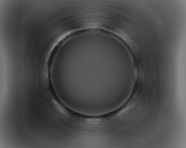 X0000088471118200705221357