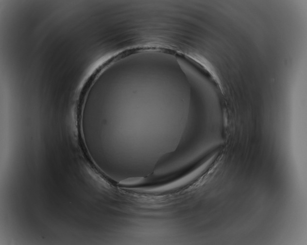 X0000088471120200705221357