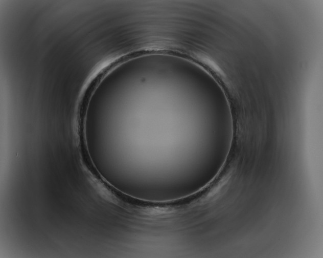 X0000088471122200705221357