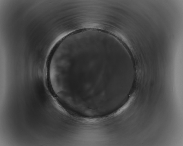 X0000088471125200705221357