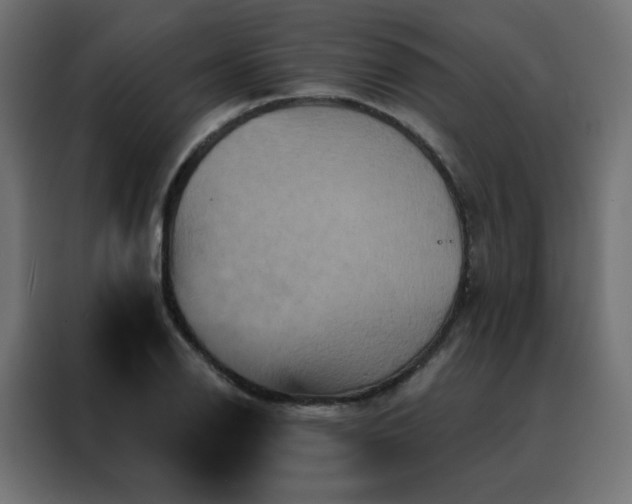 X0000088471126200705221357