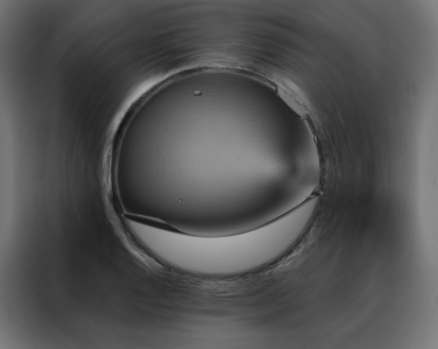 X0000088471128200705221357