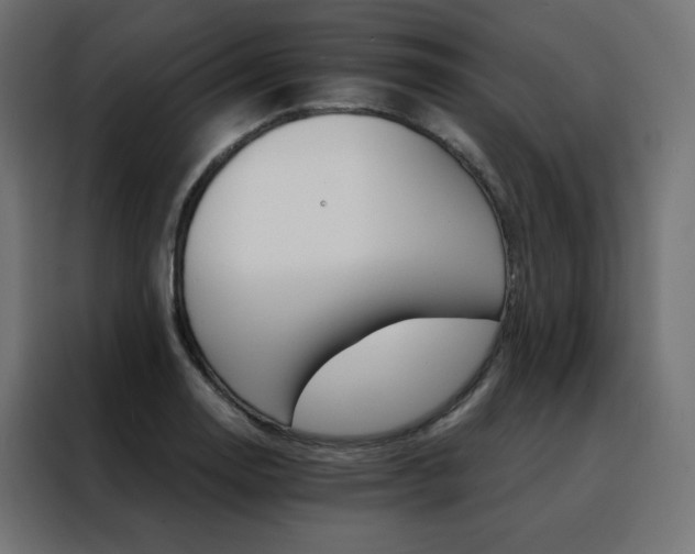 X0000088471130200705221357