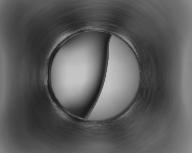 X0000088471131200705221357
