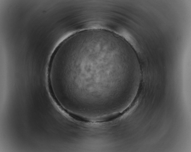 X0000088471134200705221357