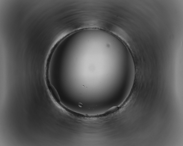 X0000088471135200705221357