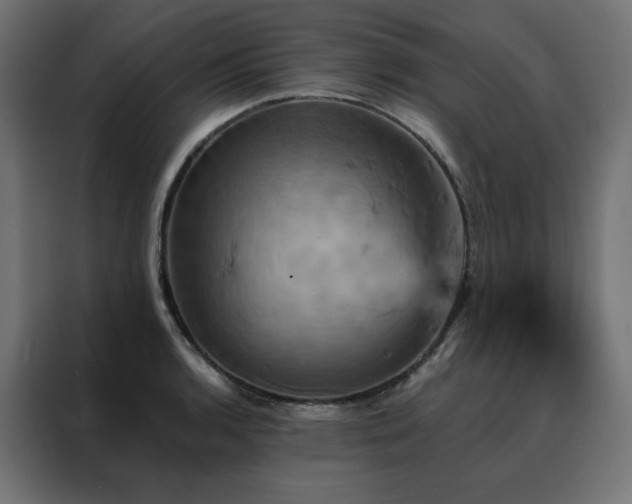 X0000088471136200705221357
