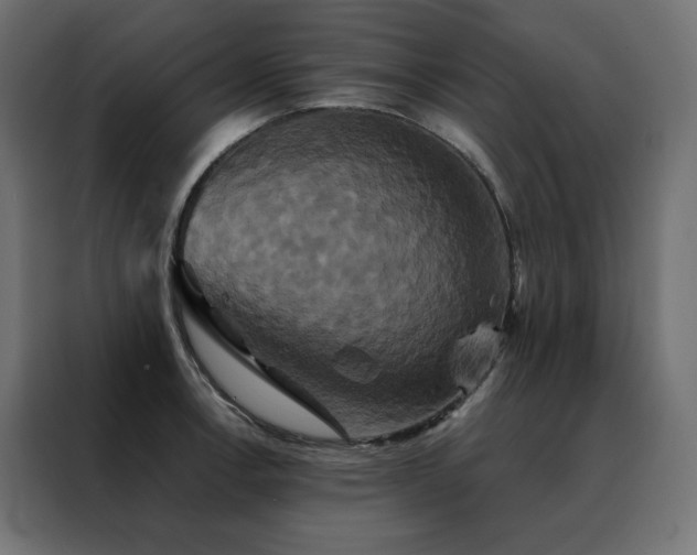 X0000088471138200705221357