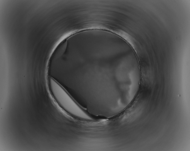 X0000088471142200705221358