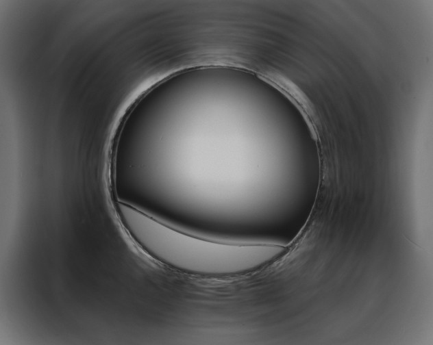 X0000088471144200705221358