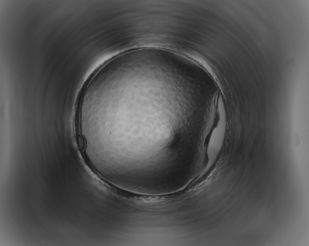 X0000088471147200705221358