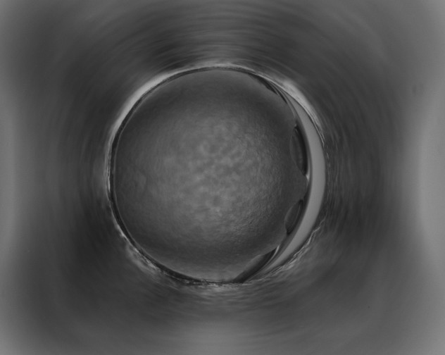 X0000088471148200705221358