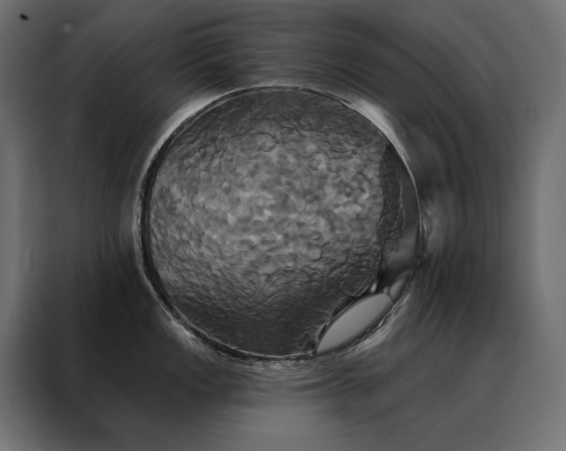 X0000088471149200705221358