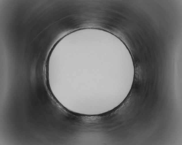 X0000088471150200705221358