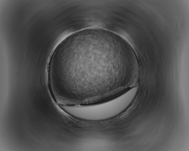 X0000088471151200705221358