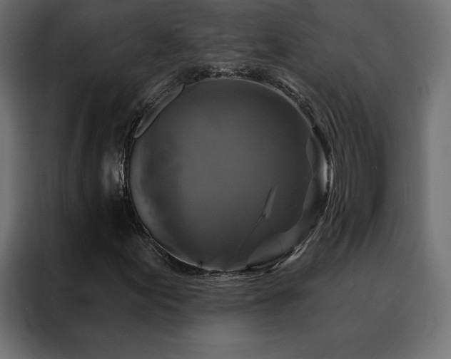 X0000088471155200705221357