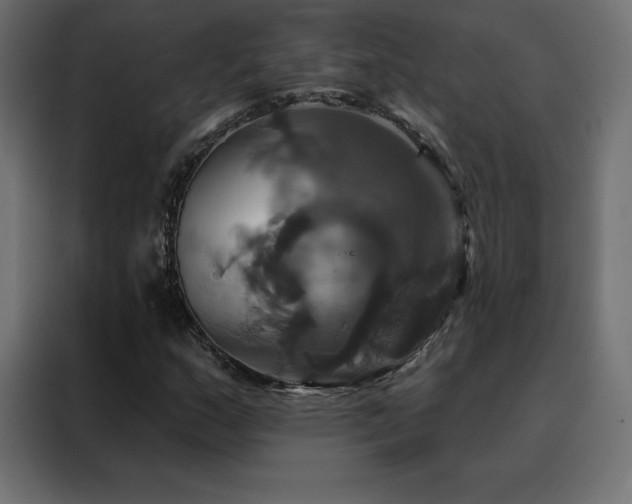 X0000088471159200705221357