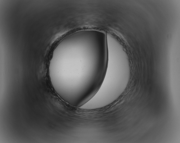 X0000088471160200705221357
