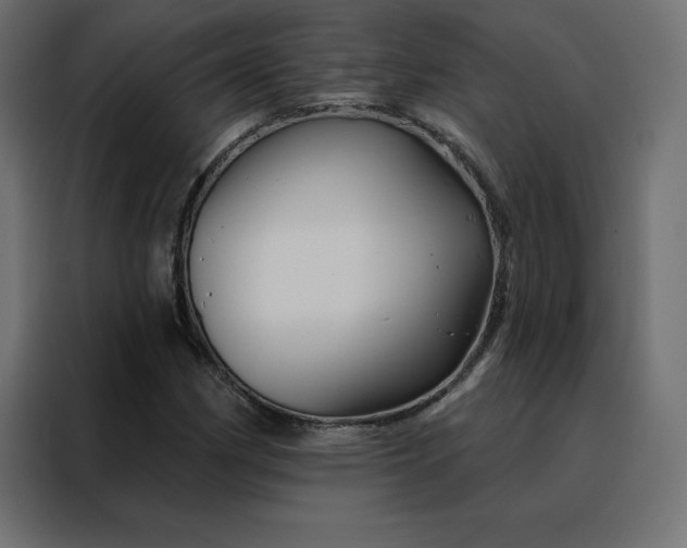 X0000088471162200705221357