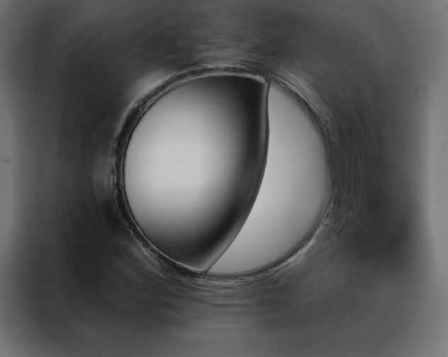 X0000088471164200705221357