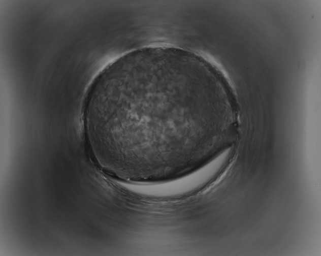 X0000088471167200705221357