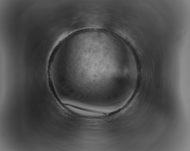 X0000088471168200705221357