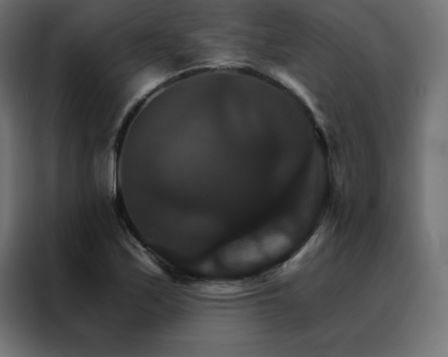 X0000088471171200705221357