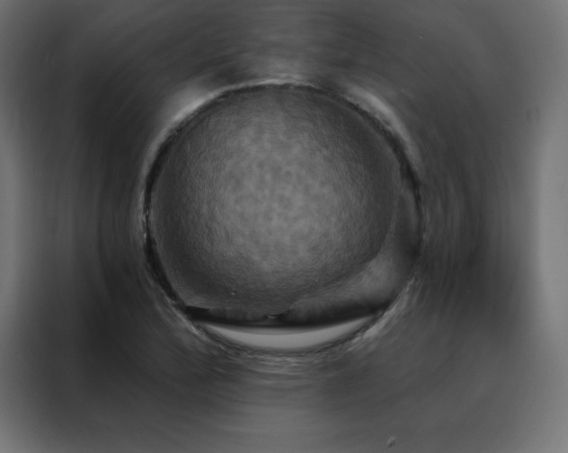 X0000088471172200705221357