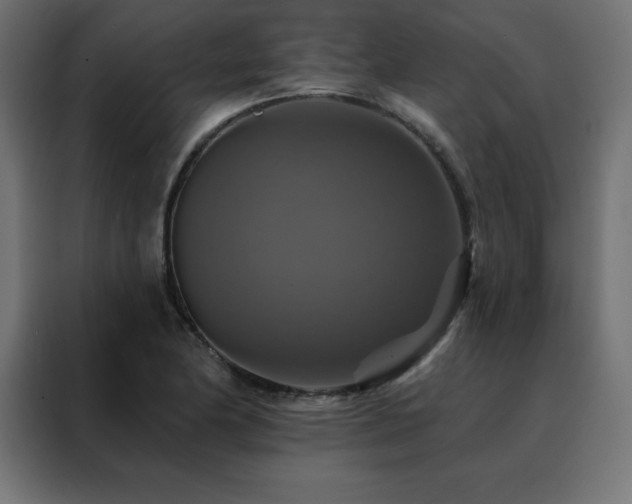 X0000088471174200705221357