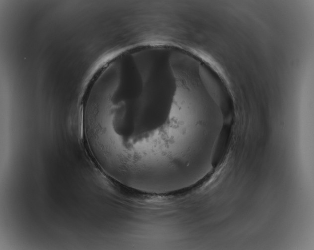 X0000088471175200705221357